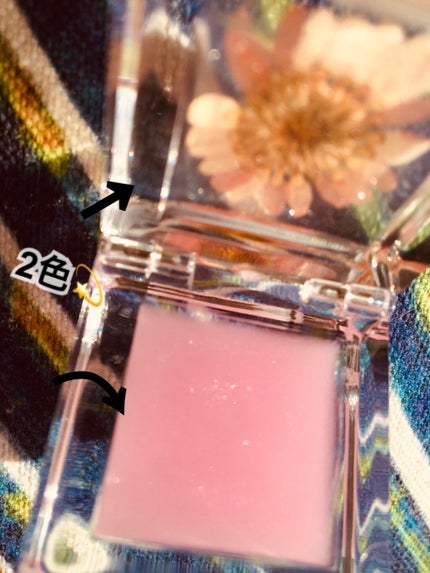 SCENTED LIP GLOSS/アイランドガール /リップグロスを使ったクチコミ(2枚目)
