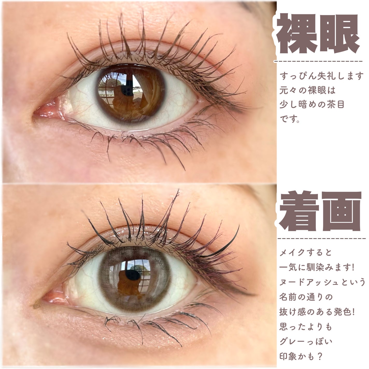 BELLSiQUE 1day/ベルシーク/ワンデー(1DAY)カラコンを使ったクチコミ(4枚目)