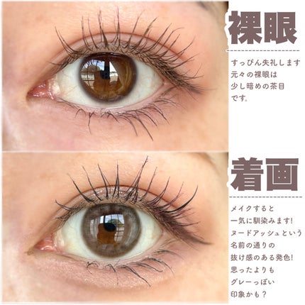 BELLSiQUE 1day/ベルシーク/ワンデー(1DAY)カラコンを使ったクチコミ(4枚目)