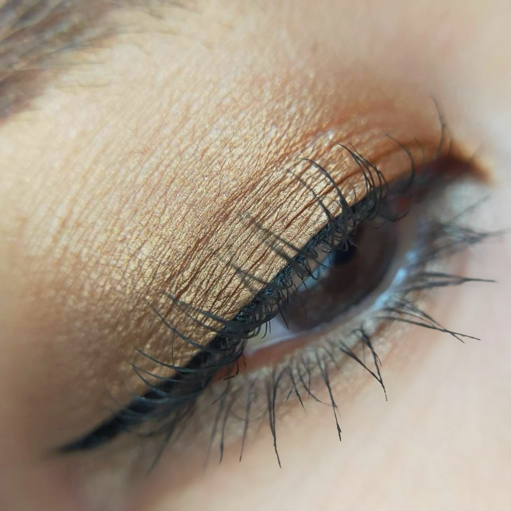 コネクト イン カラー アイシャドウ パレット × 6 ブロンズ インフルエンス/M・A・C/アイシャドウパレットを使ったクチコミ（2枚目）