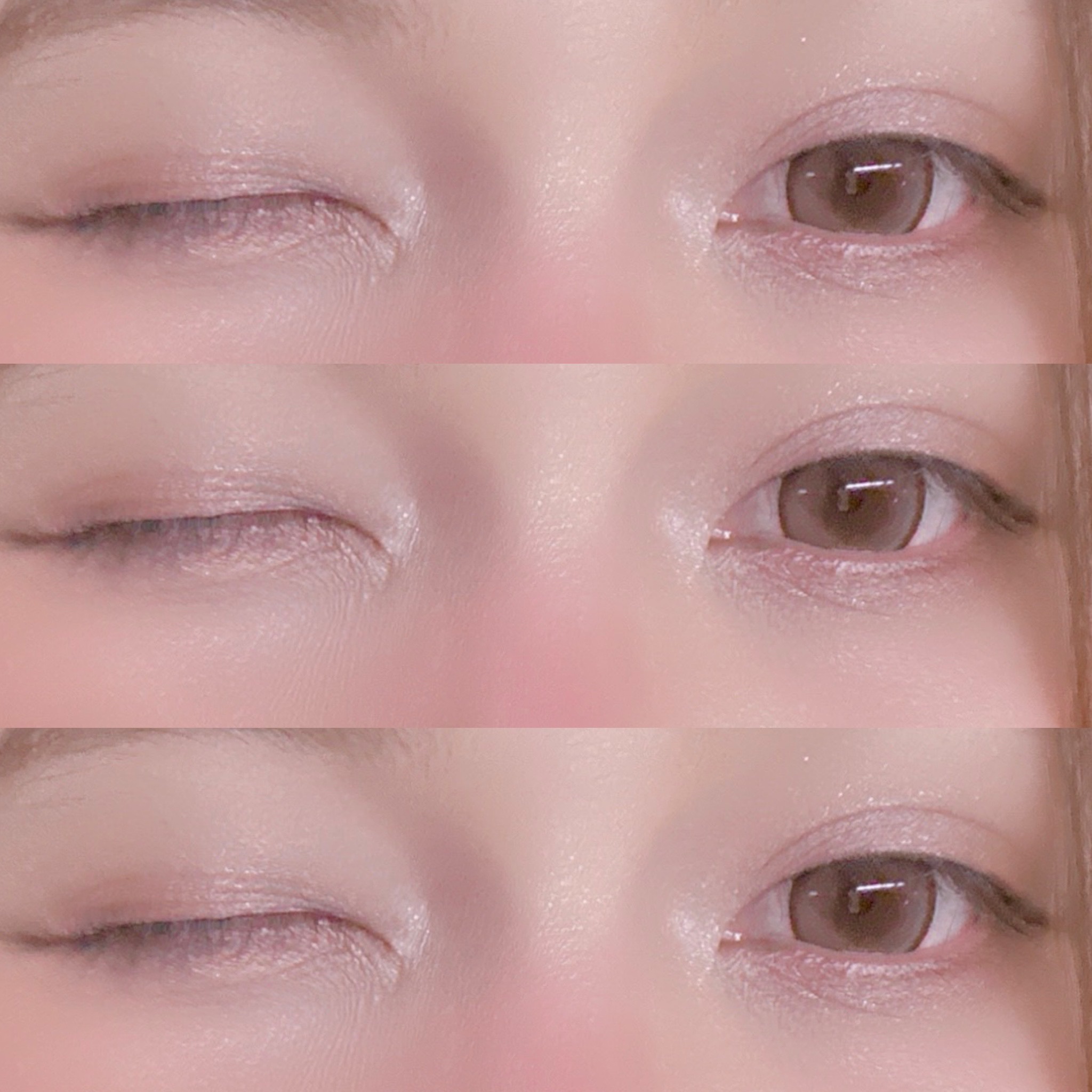 デザイニング アイシェード/IPSA/アイシャドウパレットを使ったクチコミ（3枚目）