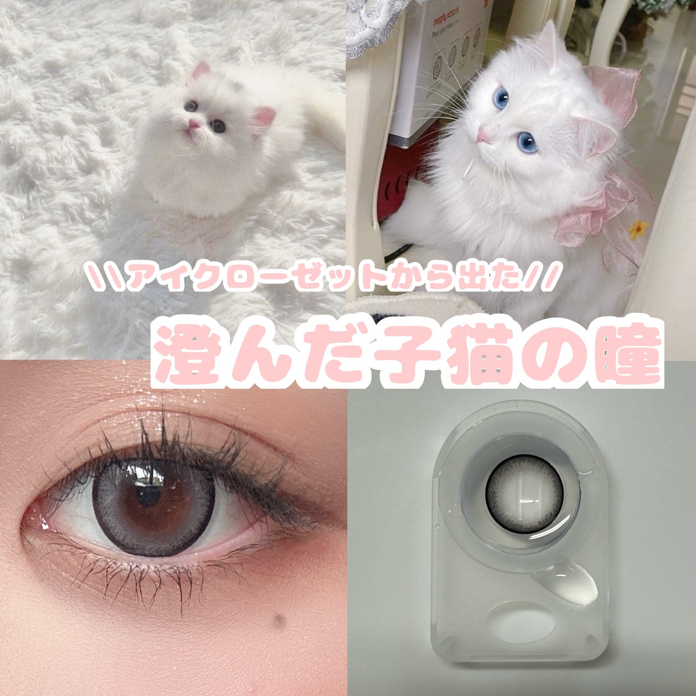 eye closet 1DAY/EYE CLOSET/ワンデー(1DAY)カラコンを使ったクチコミ(1枚目)