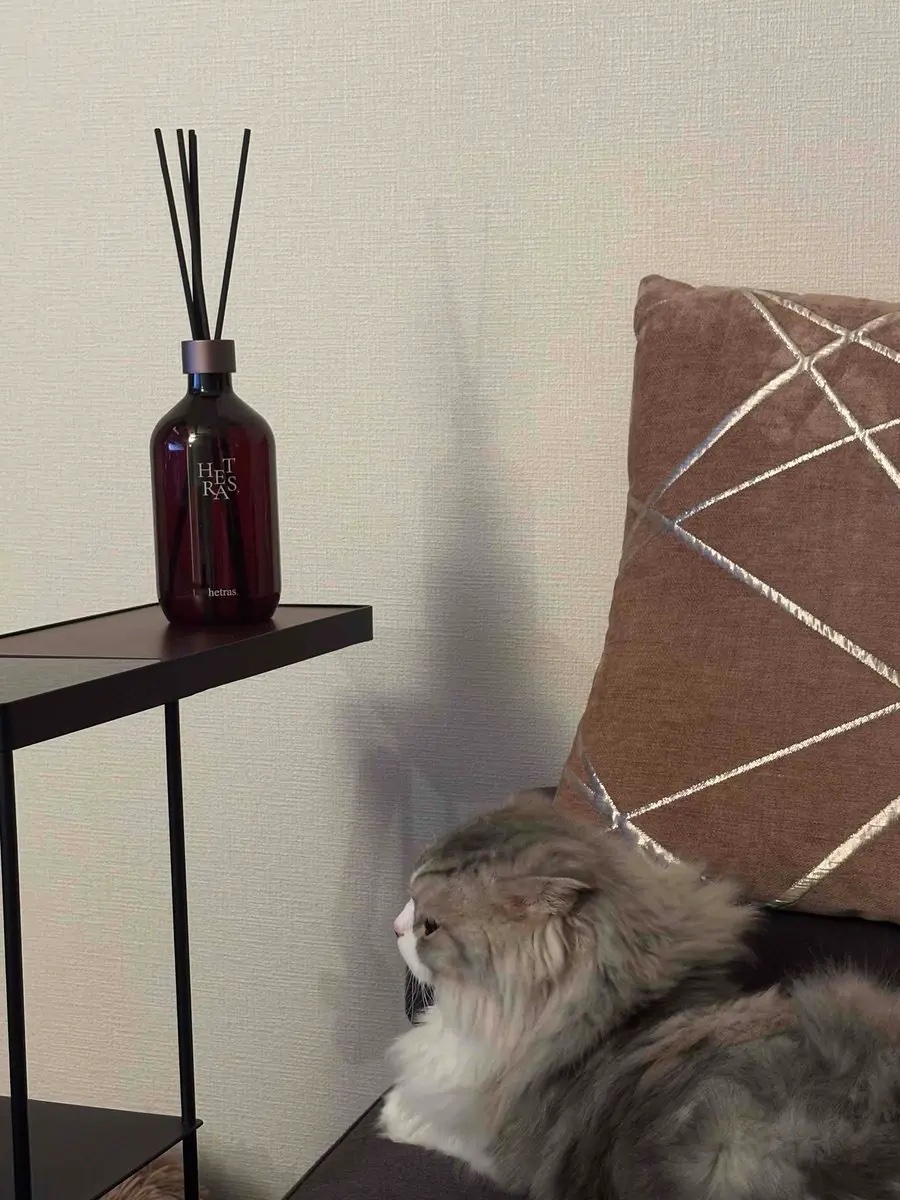 プレミアムディフューザー/hetras/ルームフレグランスを使ったクチコミ（2枚目）