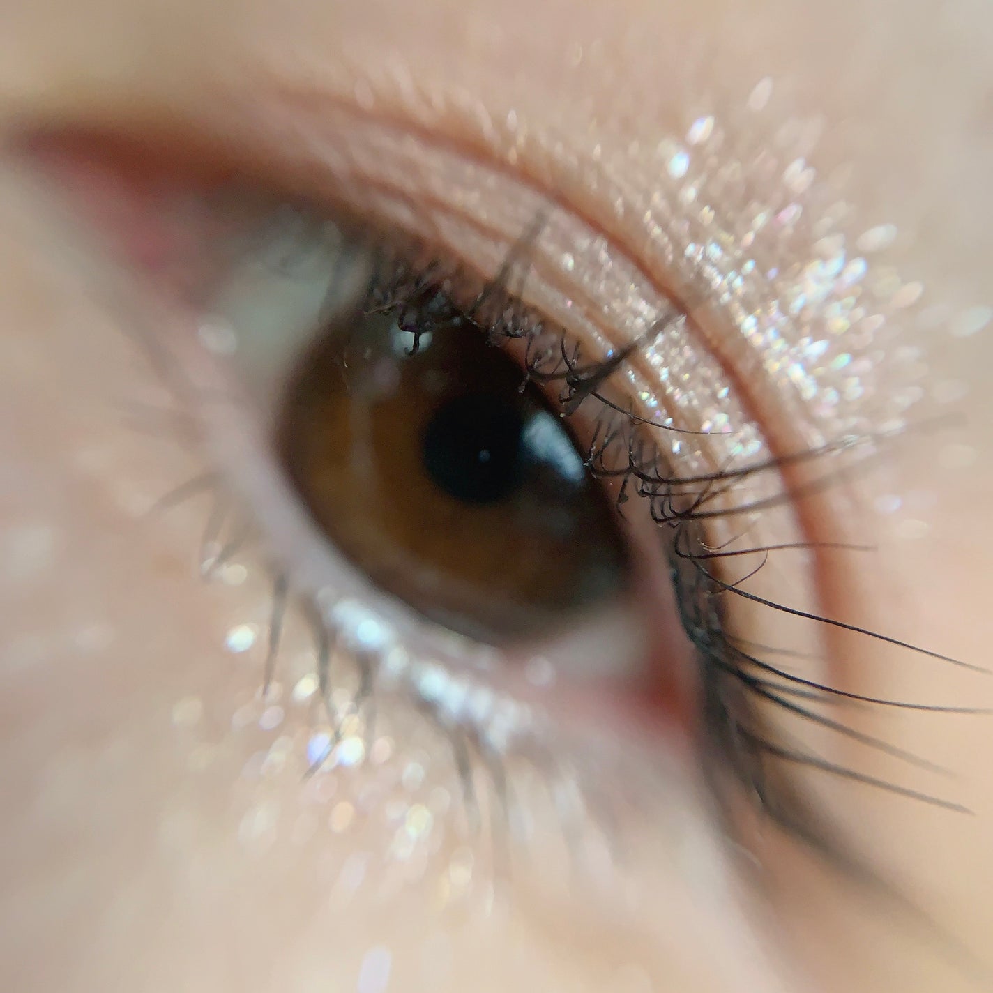 ペールトーンアイシャドウ/CEZANNE/アイシャドウを使ったクチコミ(6枚目)