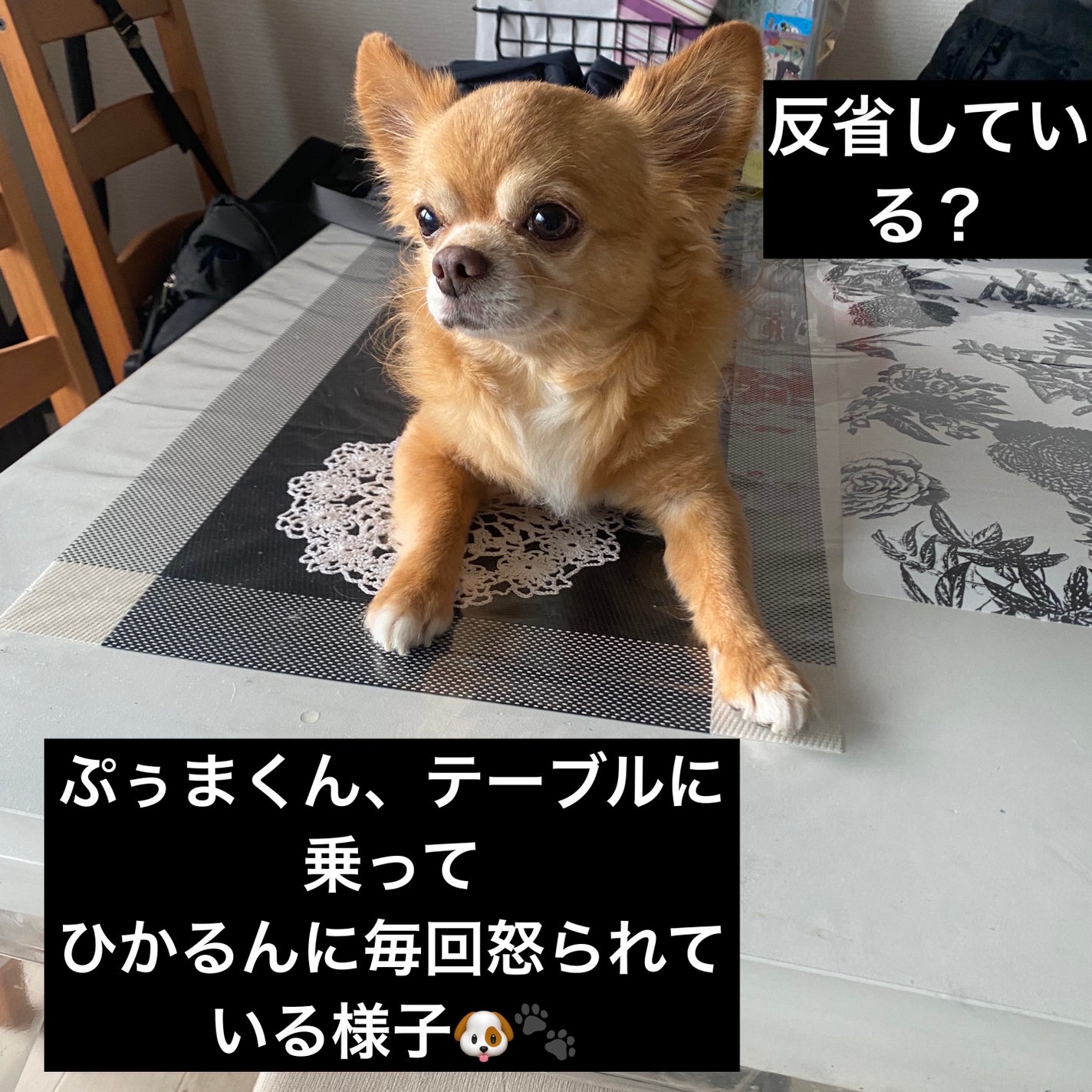 ムードインハンサーウォーターリキッドグロウ/hince/口紅を使ったクチコミ(7枚目)