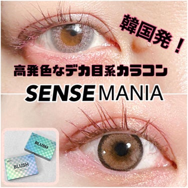 ブラッシュ/SENSE mania/カラーコンタクトレンズを使ったクチコミ（1枚目）