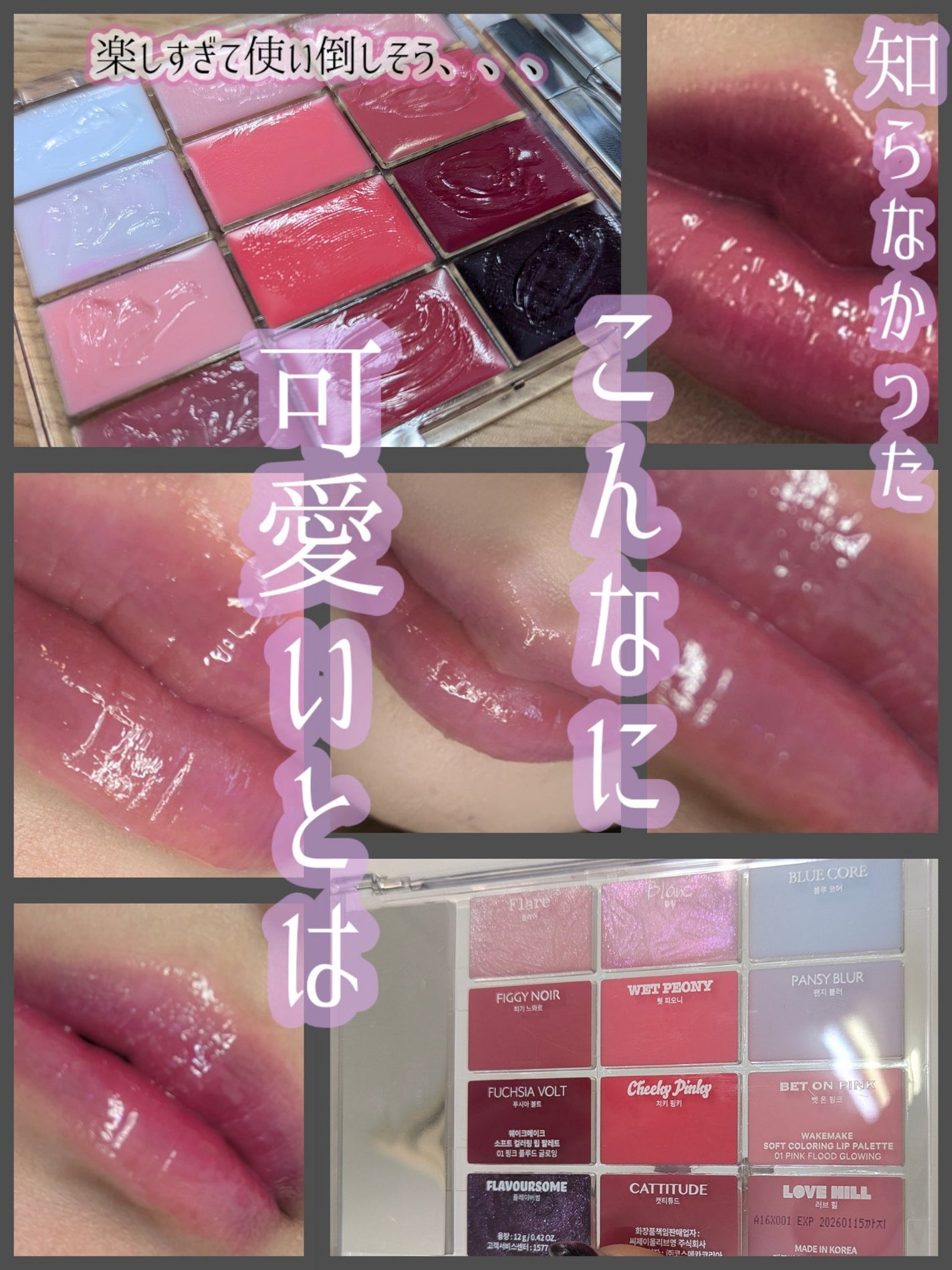 ソフトカラーリングリップパレット/wakemake/口紅を使ったクチコミ(1枚目)