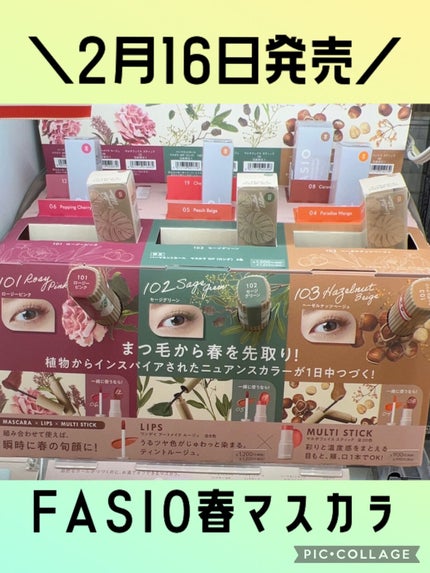 ワンデイ アートメイク ルージュ/FASIO/口紅を使ったクチコミ(1枚目)