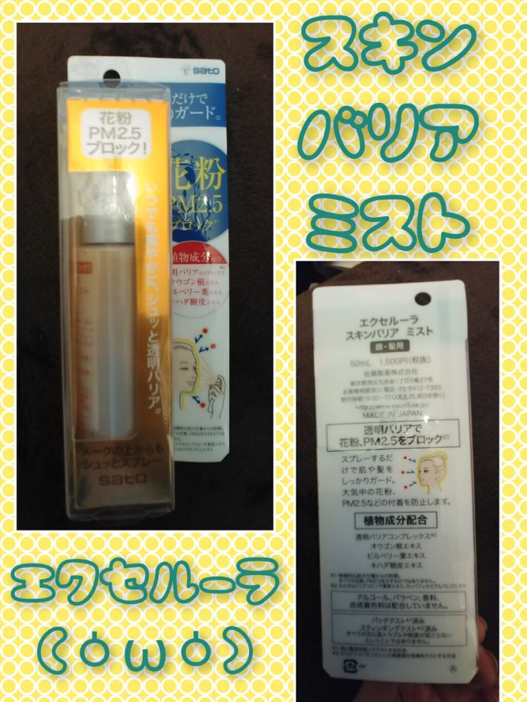 †Anna†フォロバ100 on LIPS 「こんにちわー🌸お友達のお家で歌のレッスンしてもらってたらお腹力..」(1枚目)