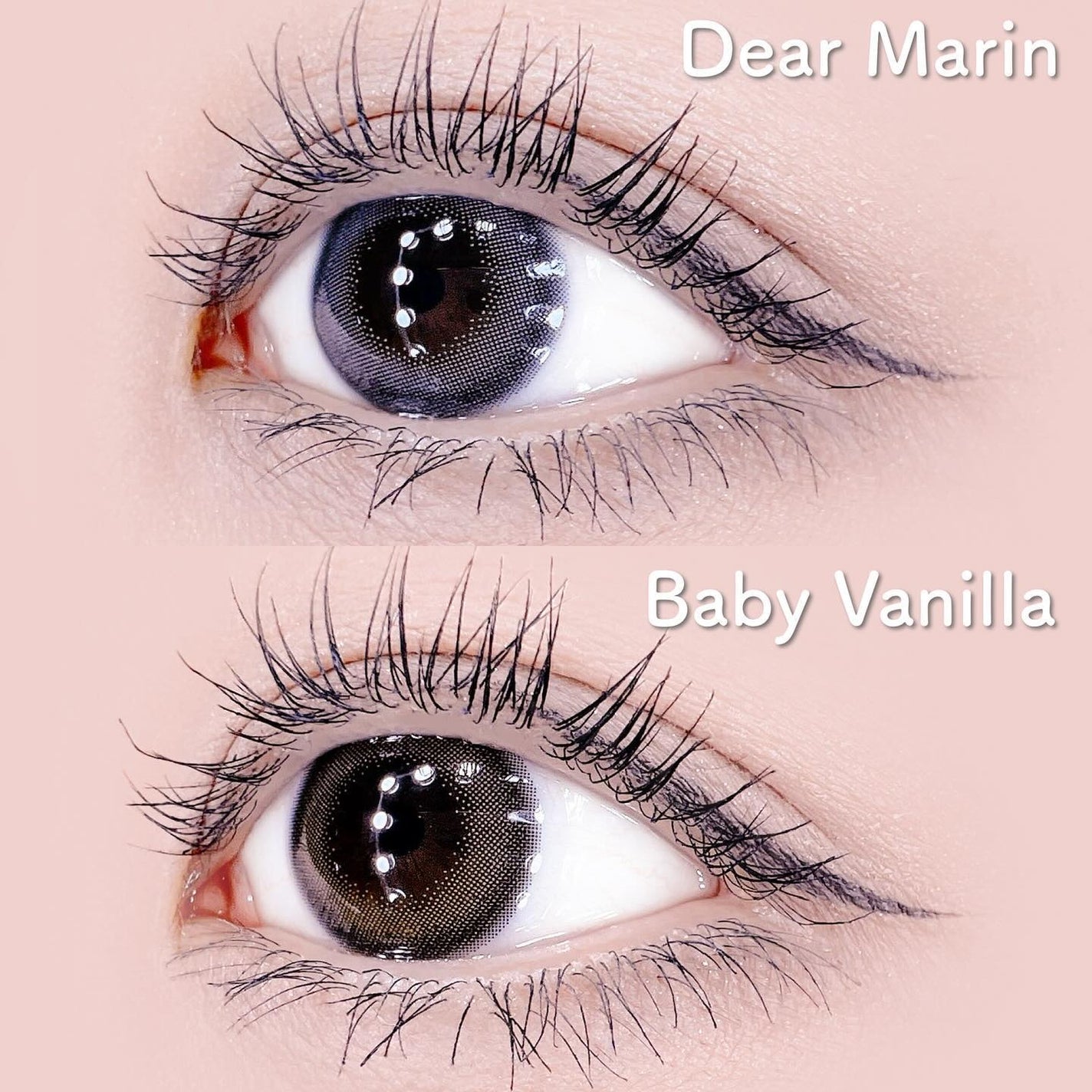 ReVIA 1day/ReVIA/ワンデー(1DAY)カラコンを使ったクチコミ(5枚目)