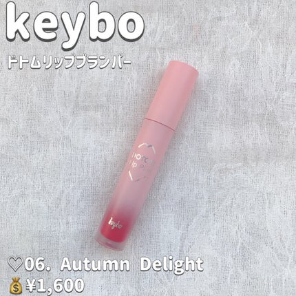 ドトムリッププラスプランパー 06 オータムディライト(Autumn Delight)/keybo/リッププランパーを使ったクチコミ(2枚目)