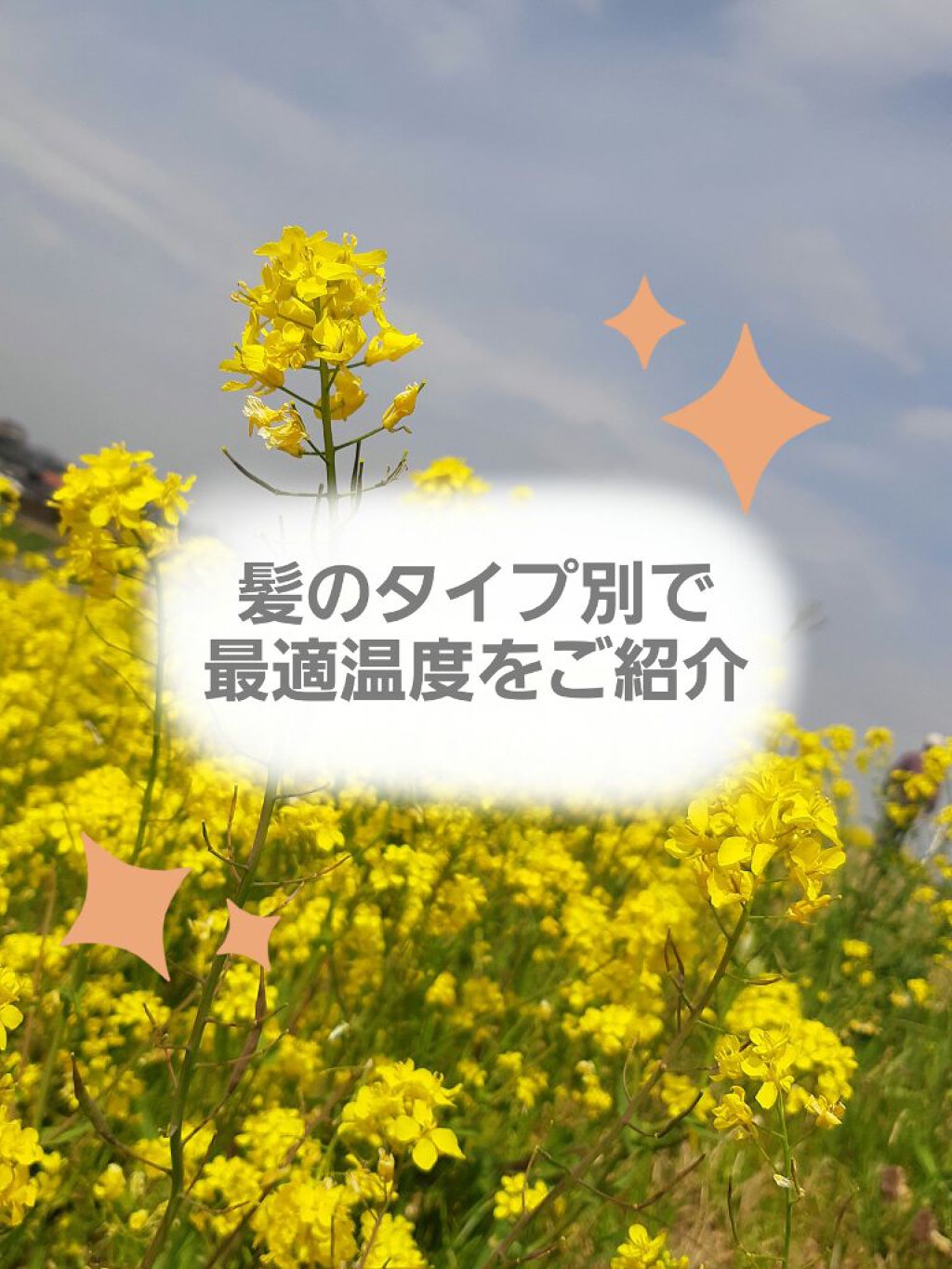 オイルトリートメント #EXヘアオイル/ルシードエル/ヘアオイルを使ったクチコミ(2枚目)