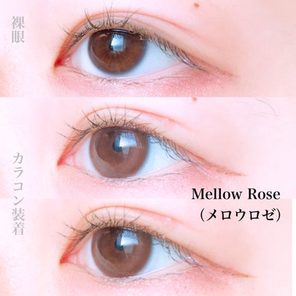 Cheritta 1day/Cheritta/ワンデー(1DAY)カラコンを使ったクチコミ(7枚目)