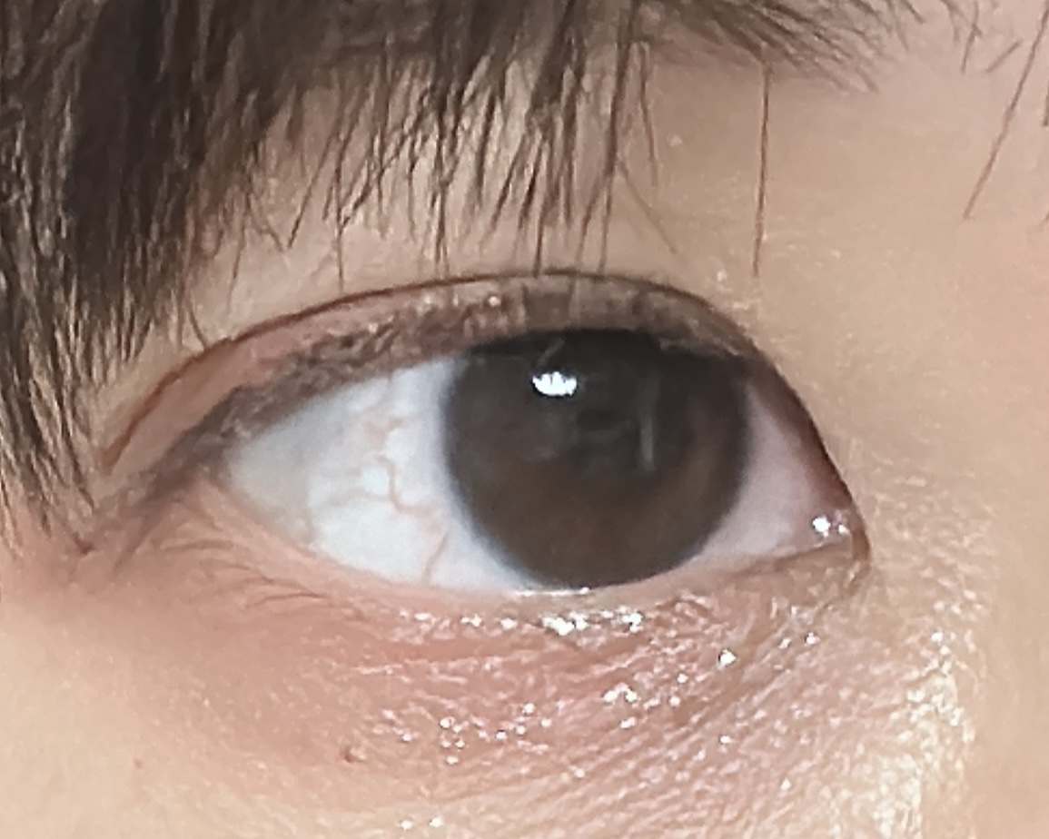 プロ アイ パレット 01 SIMPLY PINK/CLIO/アイシャドウパレットを使ったクチコミ（1枚目）