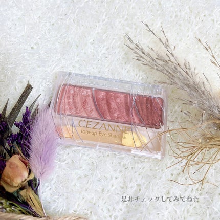 ごんす@YouTube始めました on LIPS 「《セザンヌでイチゴミルクメイク❤︎》🍓使用した物🍓・セザンヌト..」(5枚目)