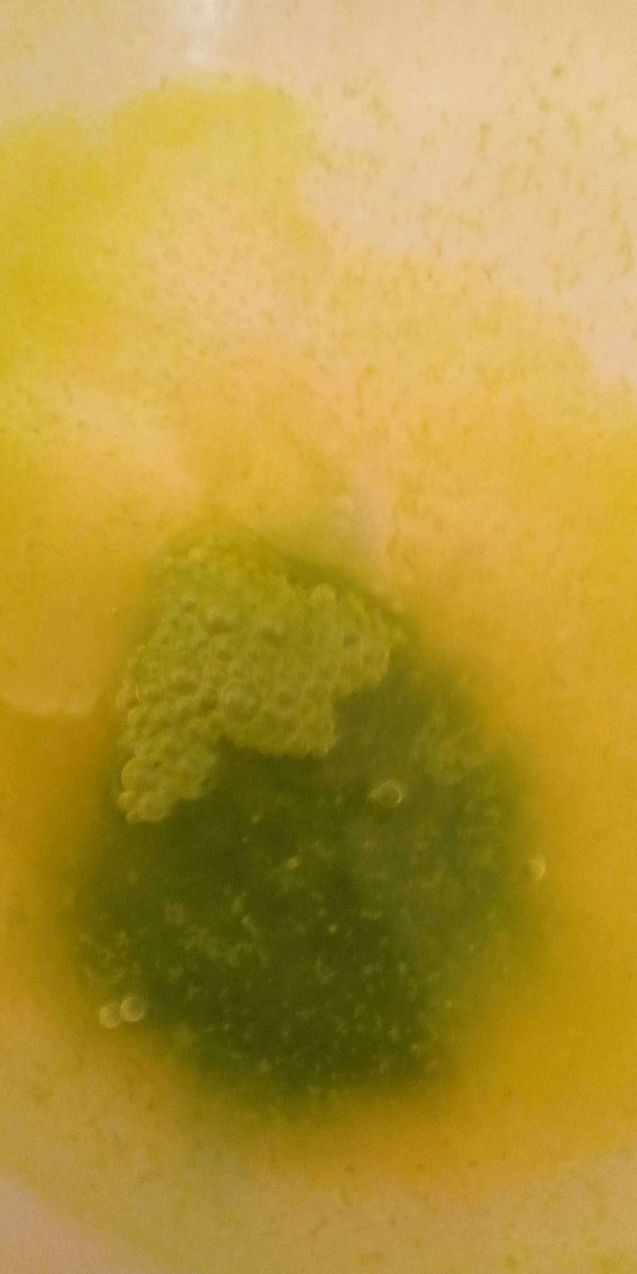 アトピタ 薬用入浴剤のクチコミ「秋から冬になると肌がかさつきます。
夫は年中乾燥肌で #エモリカ 一筋なんですが、私は色々試し.....」（3枚目）