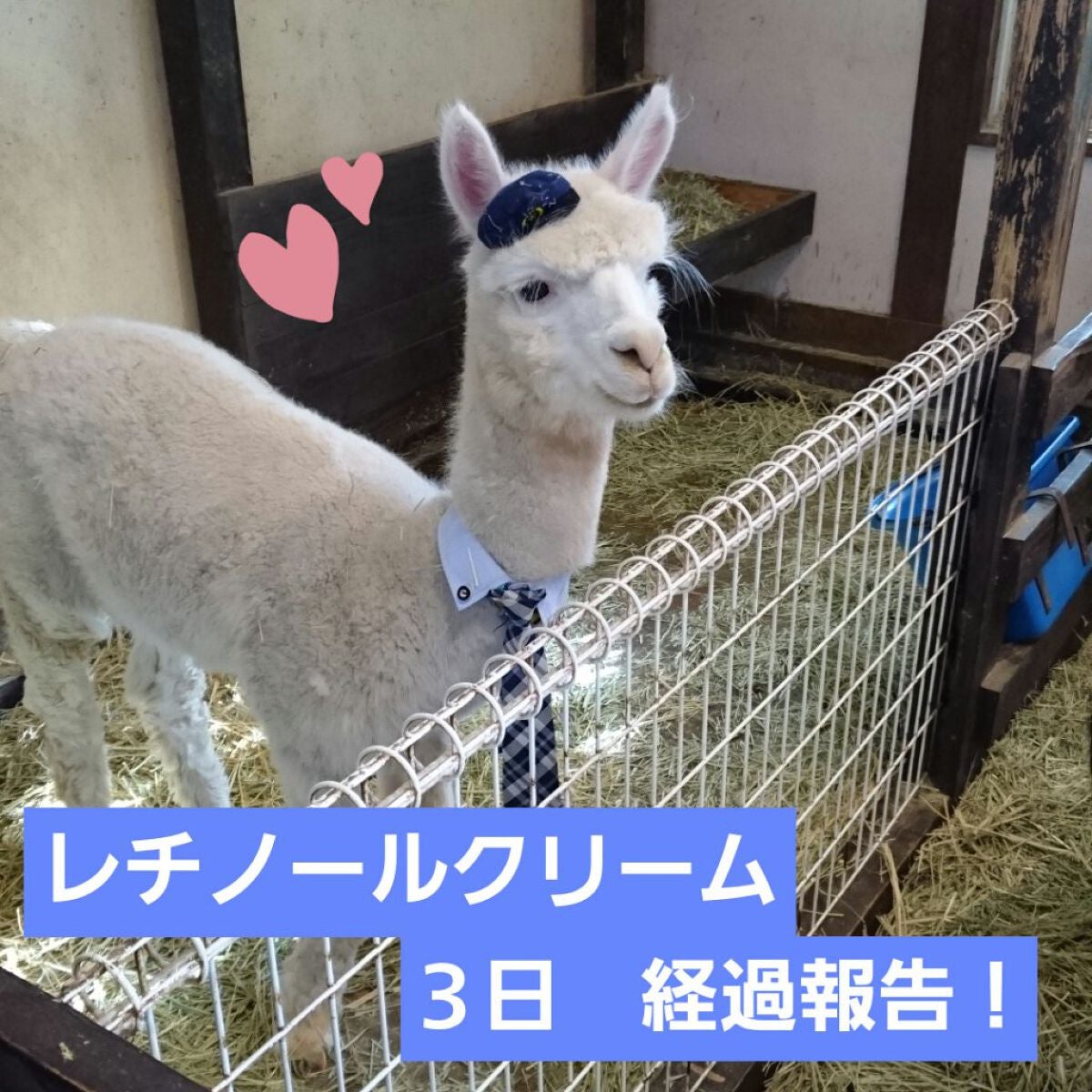 RXザ・レチノール0.1クリーム/COSRX/フェイスクリームを使ったクチコミ(1枚目)