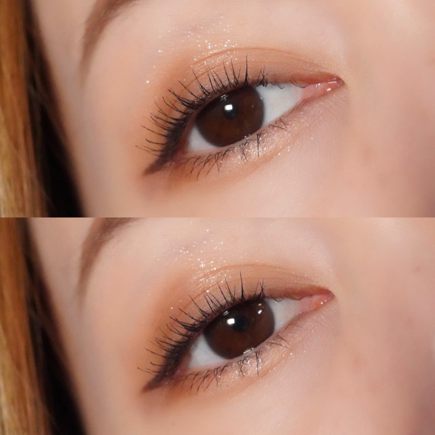 アニマルアイシャドウ(4シェード)/ZEESEA/アイシャドウパレットを使ったクチコミ(6枚目)