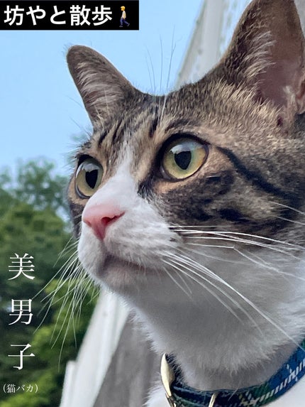 むにゅっとハイライター/キャンメイク/クリームハイライトを使ったクチコミ(3枚目)