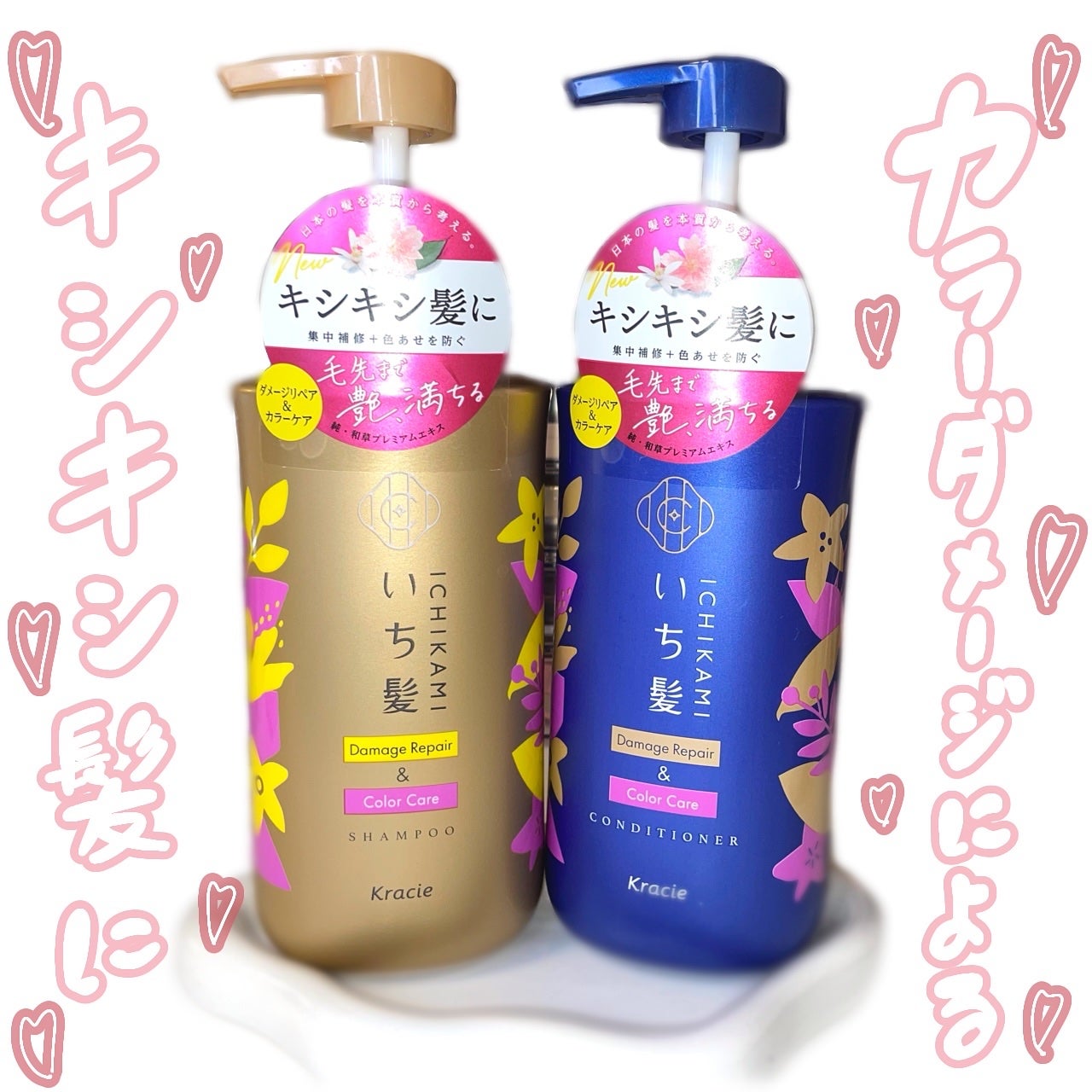 ãã¡ãŒãžãªãã¢ïŒã«ã©ãŒã±ã¢ ã·ã£ã³ããŒ/ã³ã³ãã£ã·ã§ããŒ/ãã¡é«ª/åžè²©ã·ã£ã³ããŒã䜿ã£ãã¯ãã³ãïŒ1æç®ïŒ