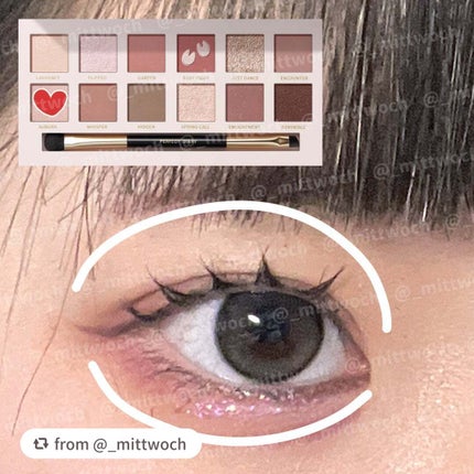 エクスプローラ12色 動物アイシャドウパレット/PERFECT DIARY/アイシャドウパレットを使ったクチコミ(2枚目)