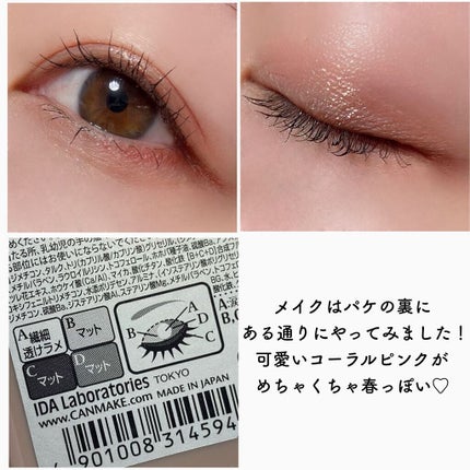 シルキースフレアイズ(マットタイプ)/キャンメイク/アイシャドウパレットを使ったクチコミ(7枚目)