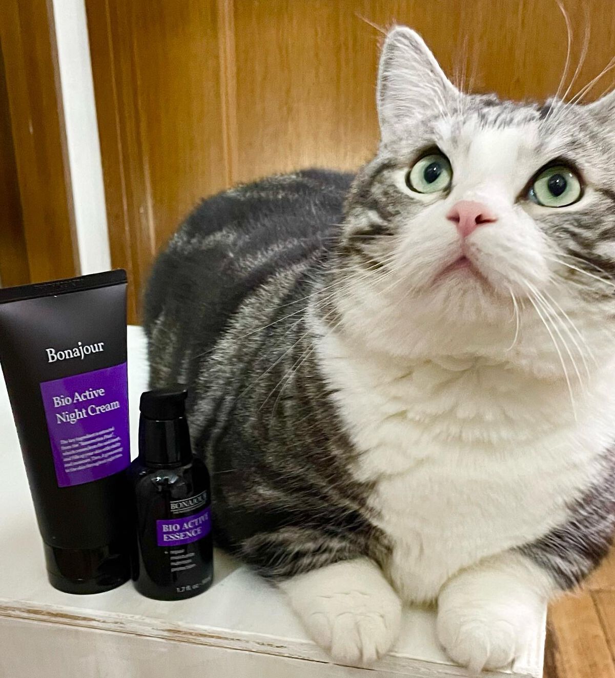 グリーンティーエッセンシャルマスク/Bonajour/シートマスク・パックを使ったクチコミ（1枚目）