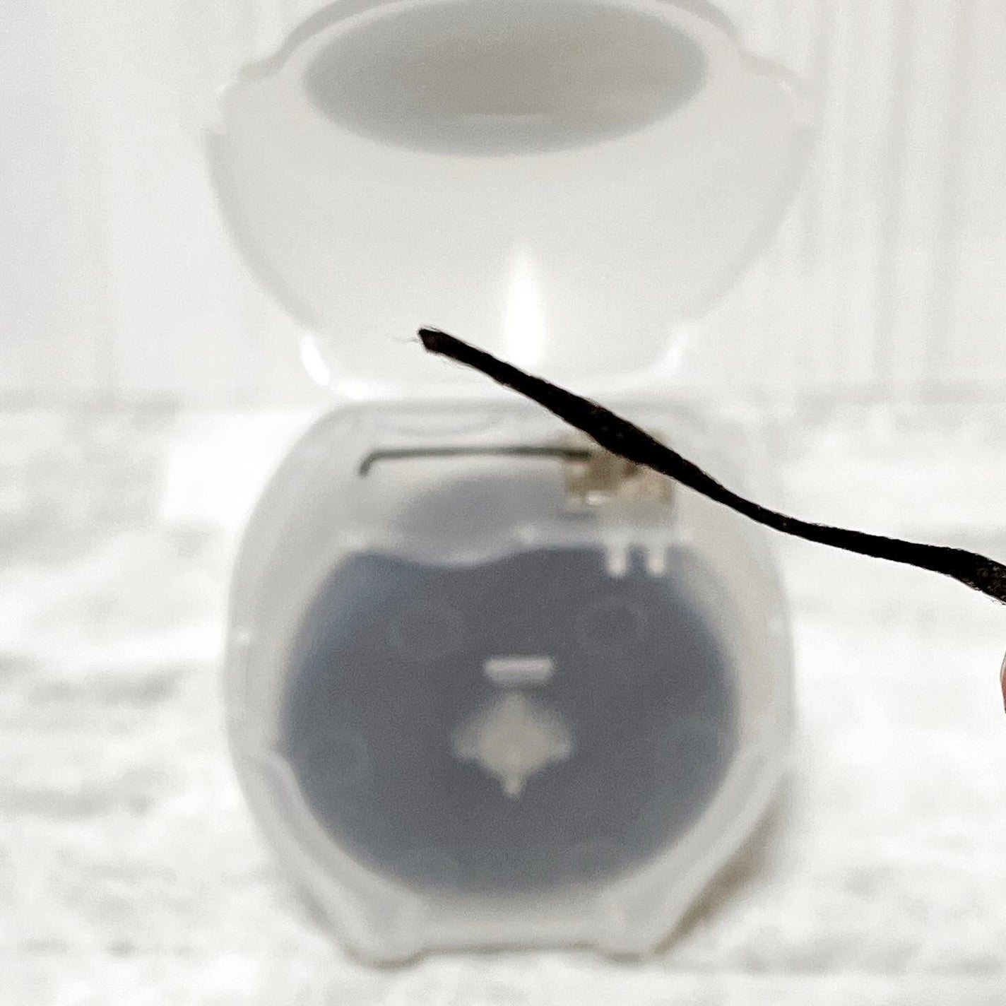 BBフロス ブラック デンタルフロス/ブラシモ/デンタルフロス・歯間ブラシを使ったクチコミ(3枚目)