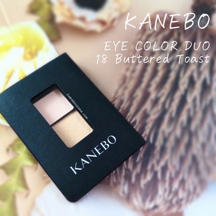 カネボウ アイカラーデュオ/KANEBO/アイシャドウパレットを使ったクチコミ(1枚目)