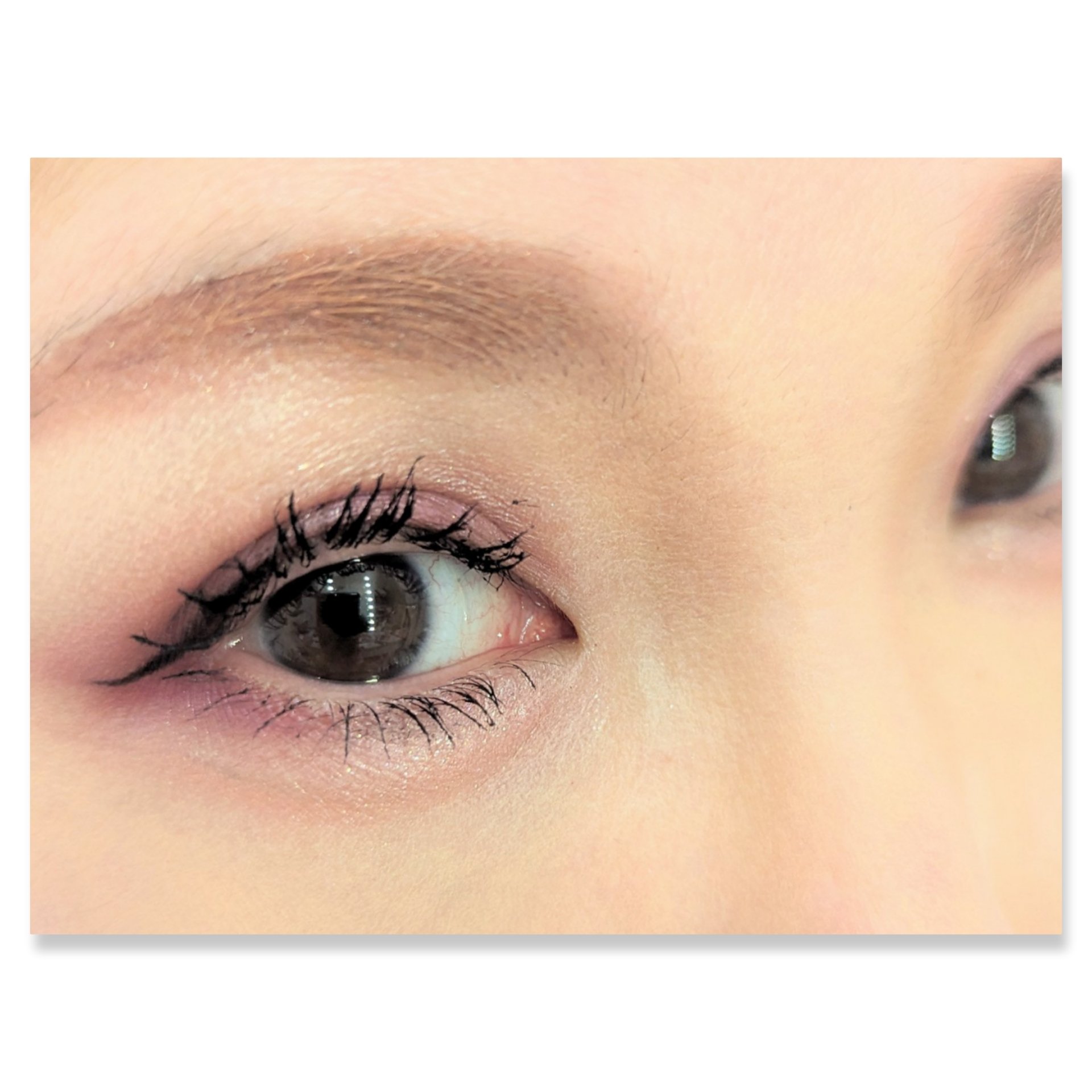 レブロン ダズル アイシャドウ クアッド 003 ヴィンテージ ローズ/REVLON/アイシャドウパレットを使ったクチコミ（2枚目）