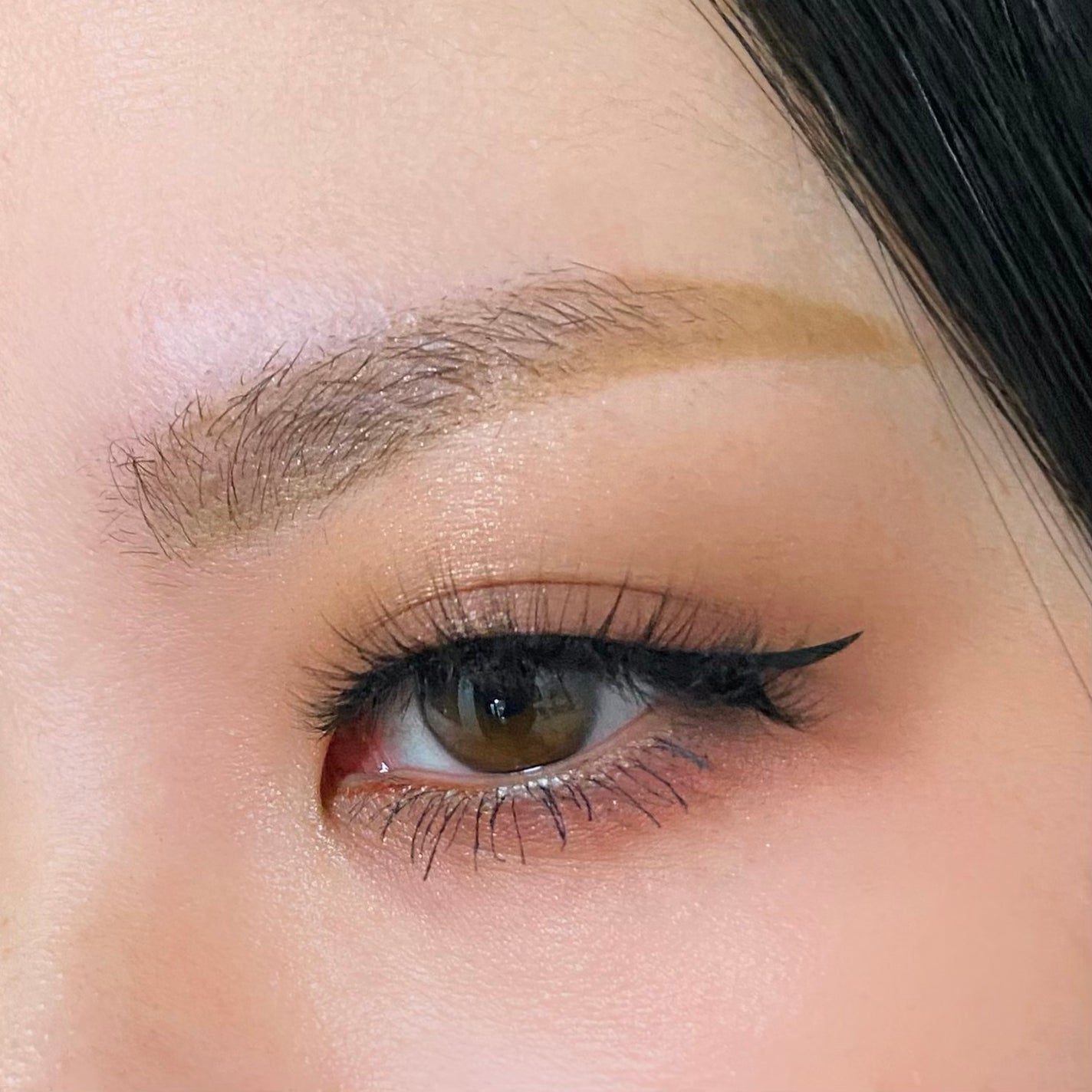 IGNITE/NYX Professional Makeup/アイシャドウパレットを使ったクチコミ(2枚目)