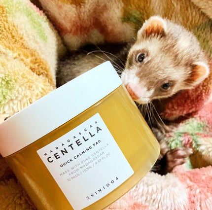 センテラ クイックカーミングパッド/SKIN1004/トナーパッドを使ったクチコミ(3枚目)