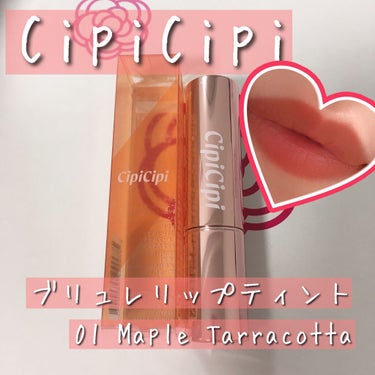 ブリュレリップティント 01 メープルテラコッタ/CipiCipi/口紅を使ったクチコミ（1枚目）