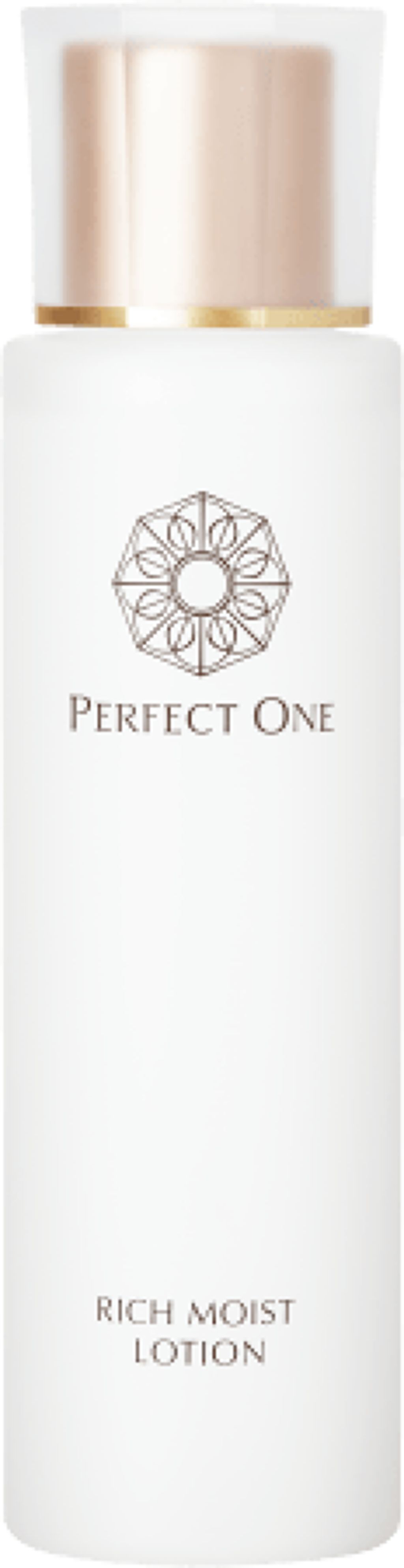 SPリッチモイストローション パーフェクトワン