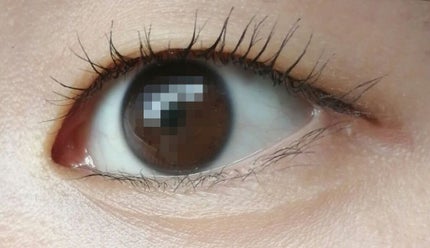 クイックラッシュカーラー/キャンメイク/マスカラ下地を使ったクチコミ(1枚目)