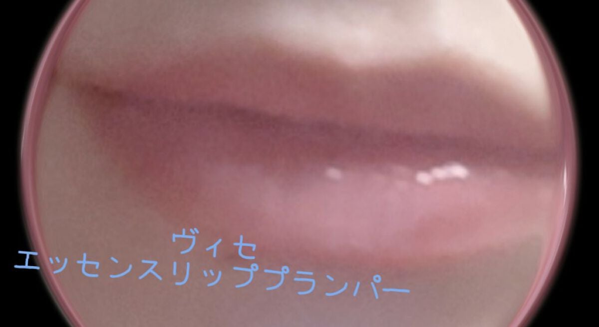 エッセンス リッププランパー/Visée/リッププランパーを使ったクチコミ(2枚目)