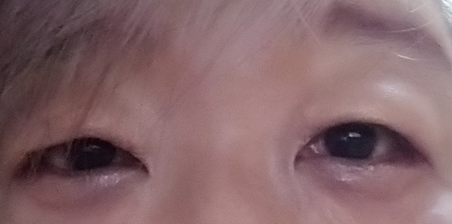 イルミクチュールシャドウ/excel/ジェル・クリームアイシャドウを使ったクチコミ（2枚目）