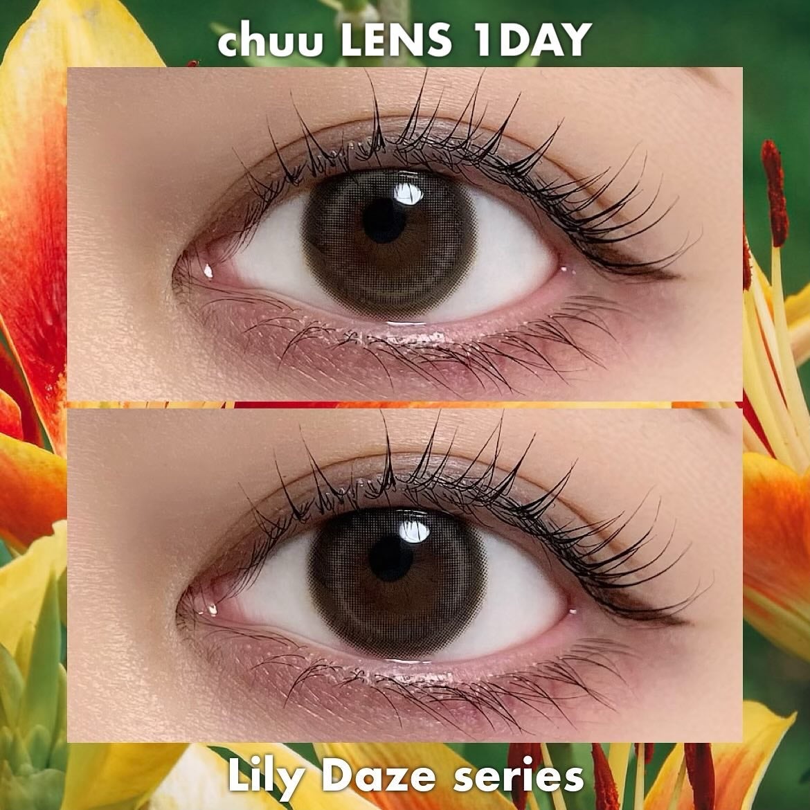 Lily Daze/chuu LENS/ワンデー(1DAY)カラコンを使ったクチコミ(1枚目)