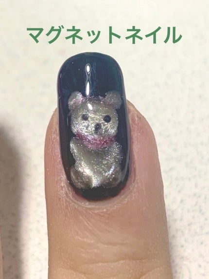 #セルフジェルネイル,#セリアジェルネイル,#マグネットネイルのネイルデザイン