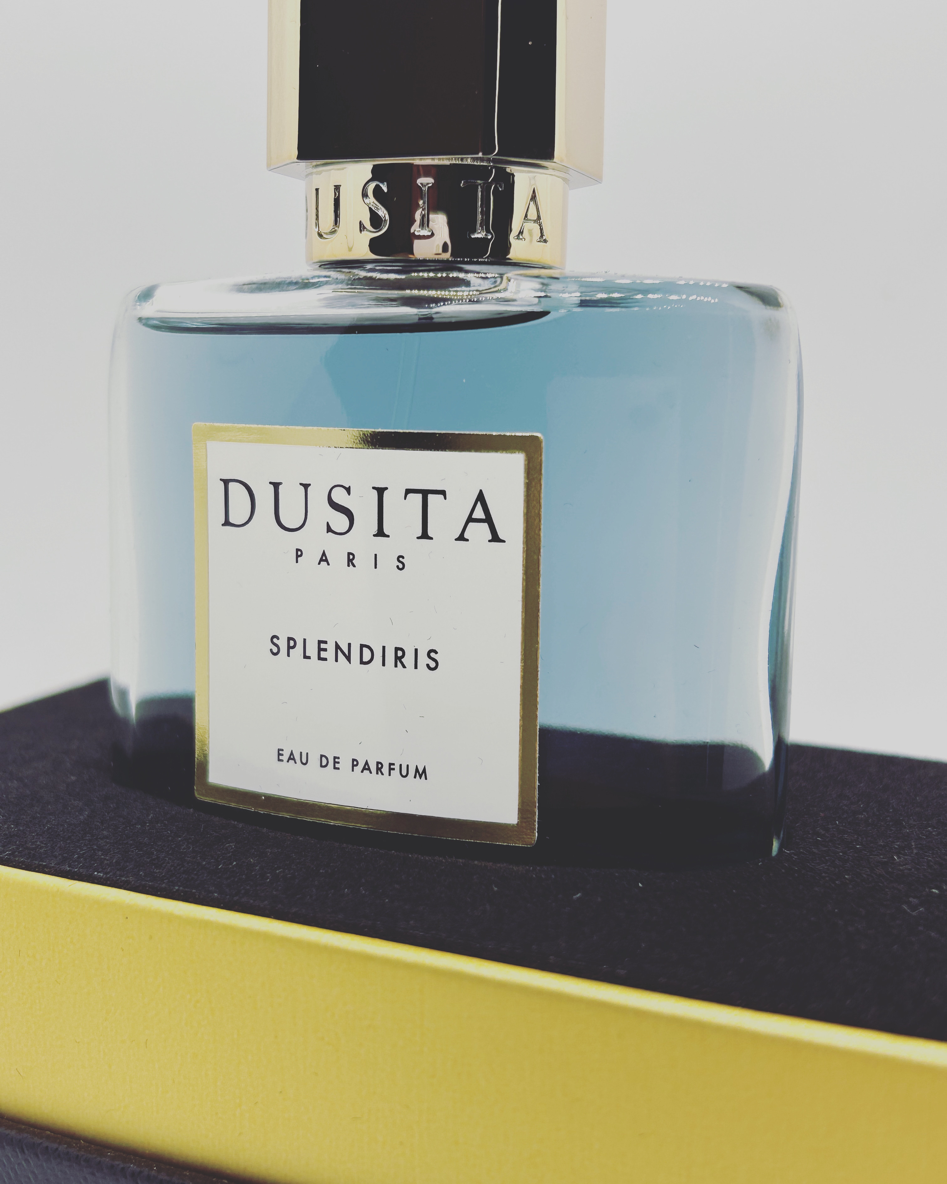 試してみた】スプレンディリス Dusitaのリアルな口コミ・レビュー | LIPS