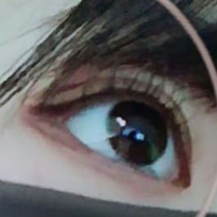 クイックラッシュカーラー/キャンメイク/マスカラ下地を使ったクチコミ(2枚目)