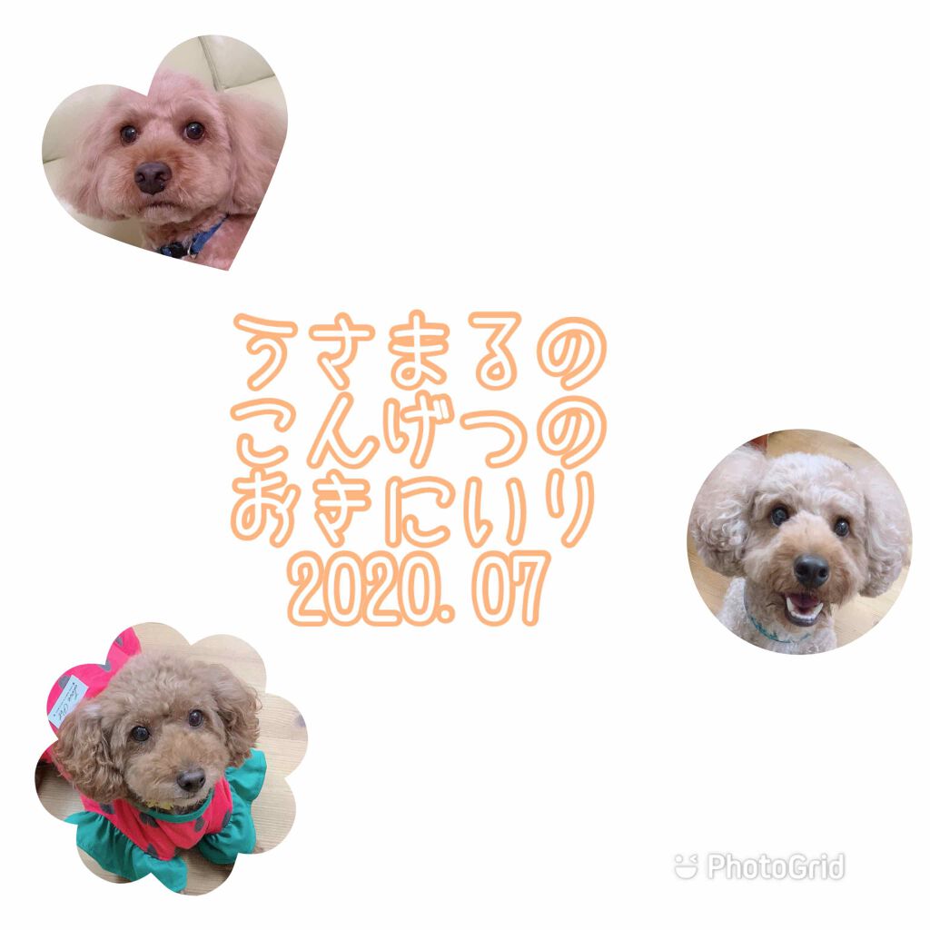 ジャストチーク/Laka/パウダーチークを使ったクチコミ（1枚目）