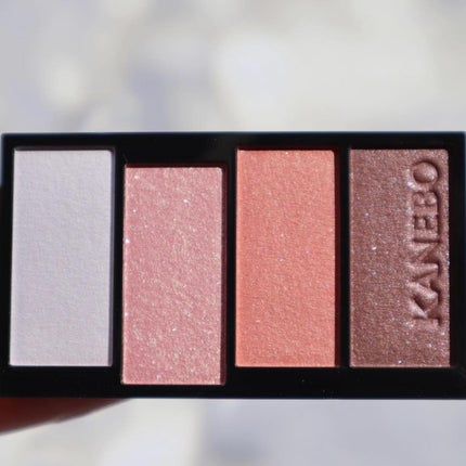 カラードシャドウ/KANEBO/アイシャドウパレットを使ったクチコミ(8枚目)