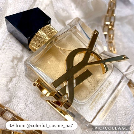 リブレ オーデパルファム/YVES SAINT LAURENT BEAUTE/香水(レディース)を使ったクチコミ(6枚目)