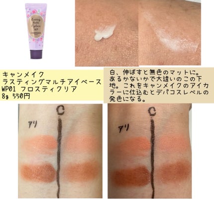 ラスティングマルチアイベース WP/キャンメイク/アイシャドウベースを使ったクチコミ(3枚目)