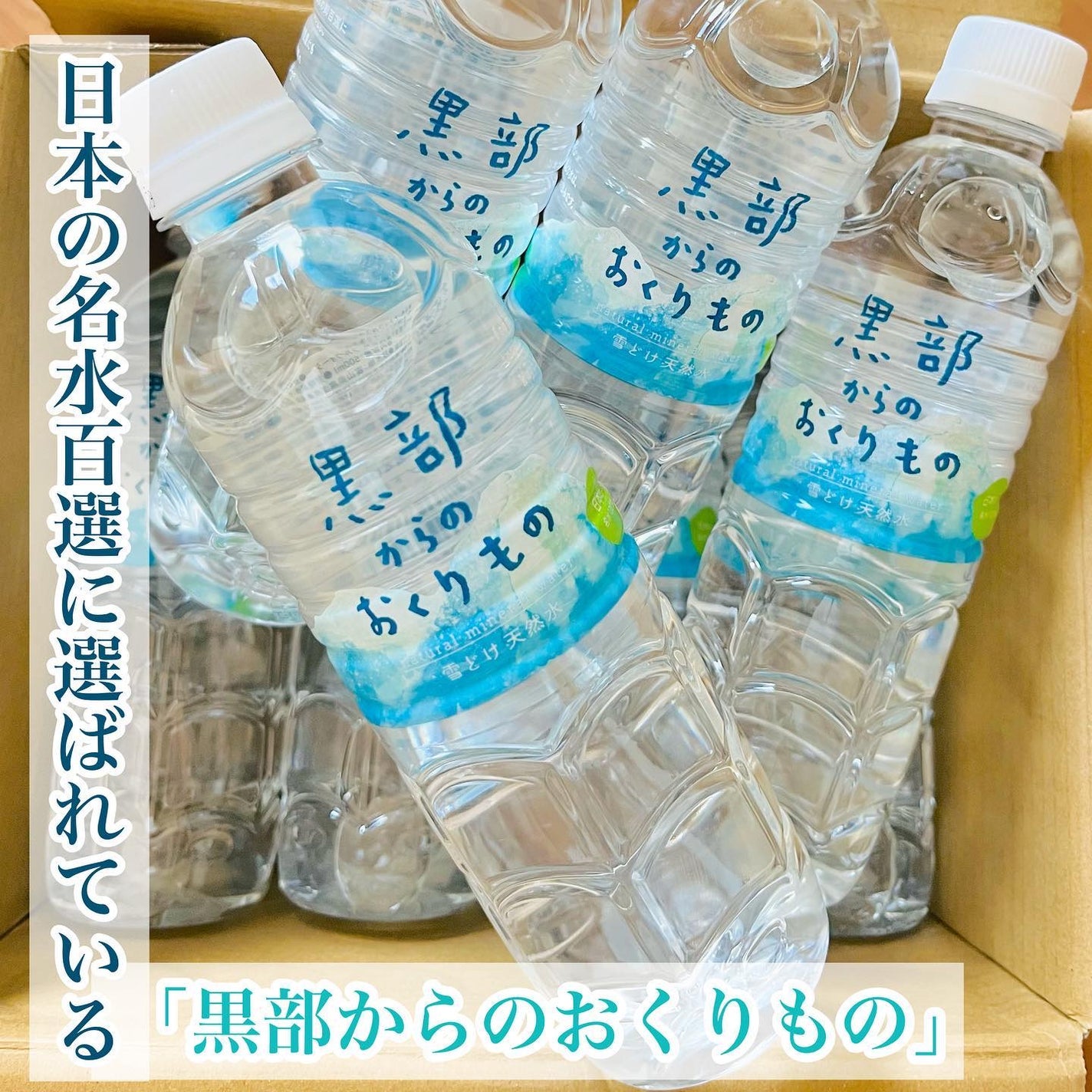 モイストシャンプー/TASQUA/市販シャンプーを使ったクチコミ(2枚目)