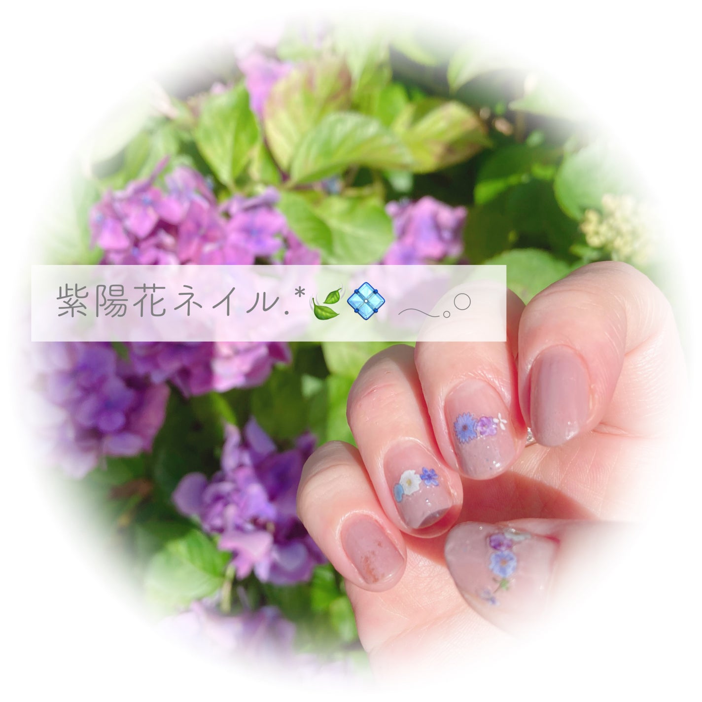 カラフルネイルズ/キャンメイク/マニキュアを使ったクチコミ(1枚目)