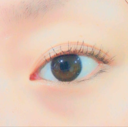 ラッシュエキスパンダー ロングロングロング/MAJOLICA MAJORCA/マスカラを使ったクチコミ(3枚目)