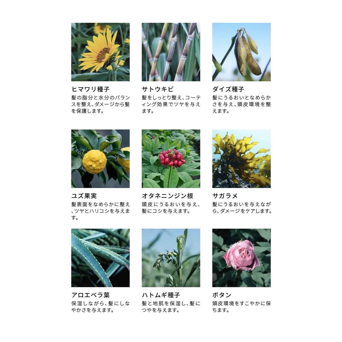 ピュアバー 和漢ハーブシャンプーバー モイスト/purebar/市販シャンプーを使ったクチコミ(6枚目)