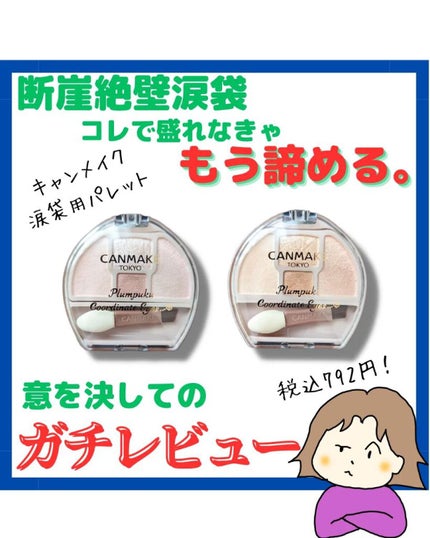 プランぷくコーデアイズ/キャンメイク/パウダーアイシャドウを使ったクチコミ(1枚目)